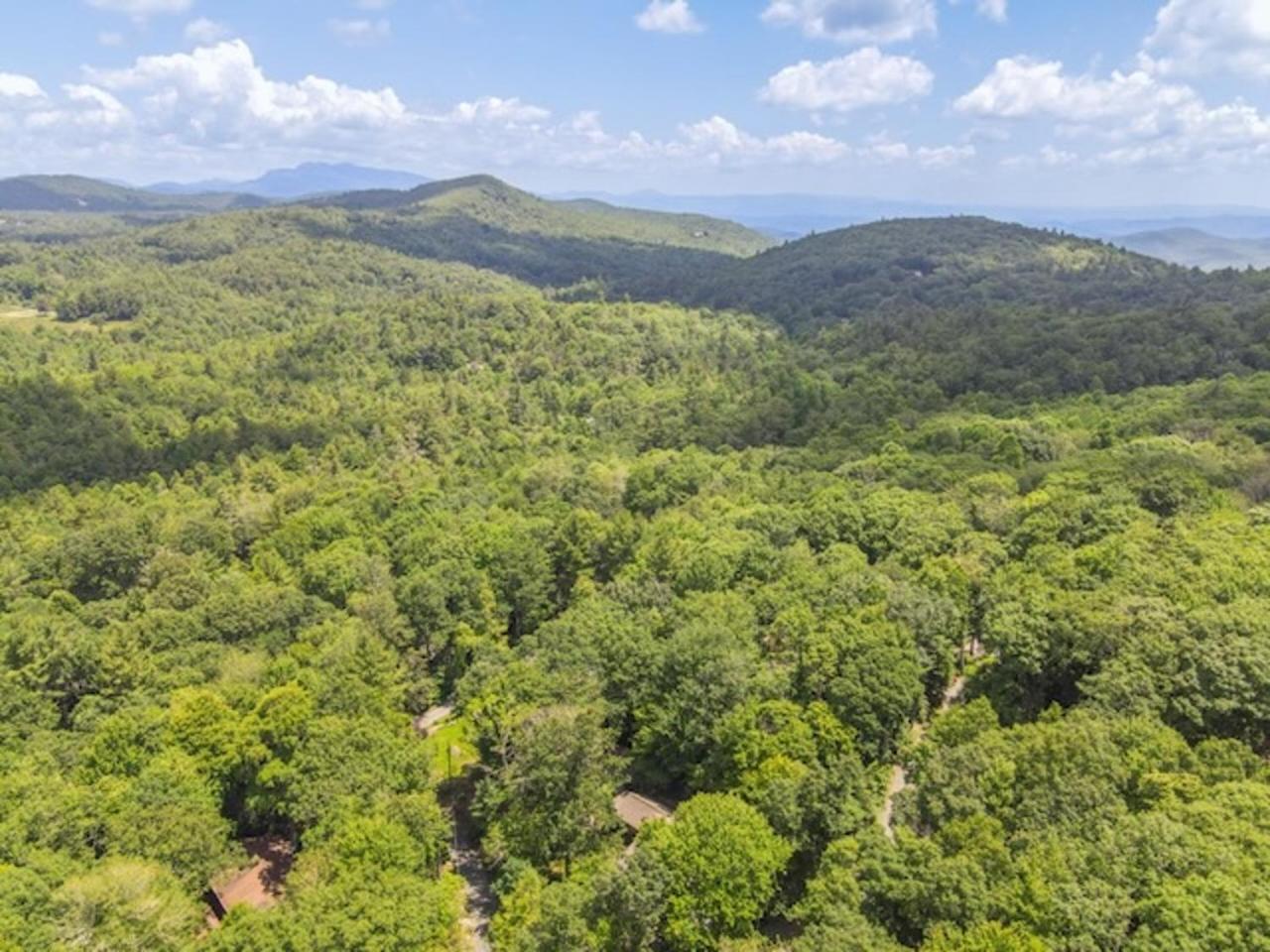 Gingercake Mtn Cottage At Linville Gorge - Wood Burning Fireplace Linville Falls Εξωτερικό φωτογραφία