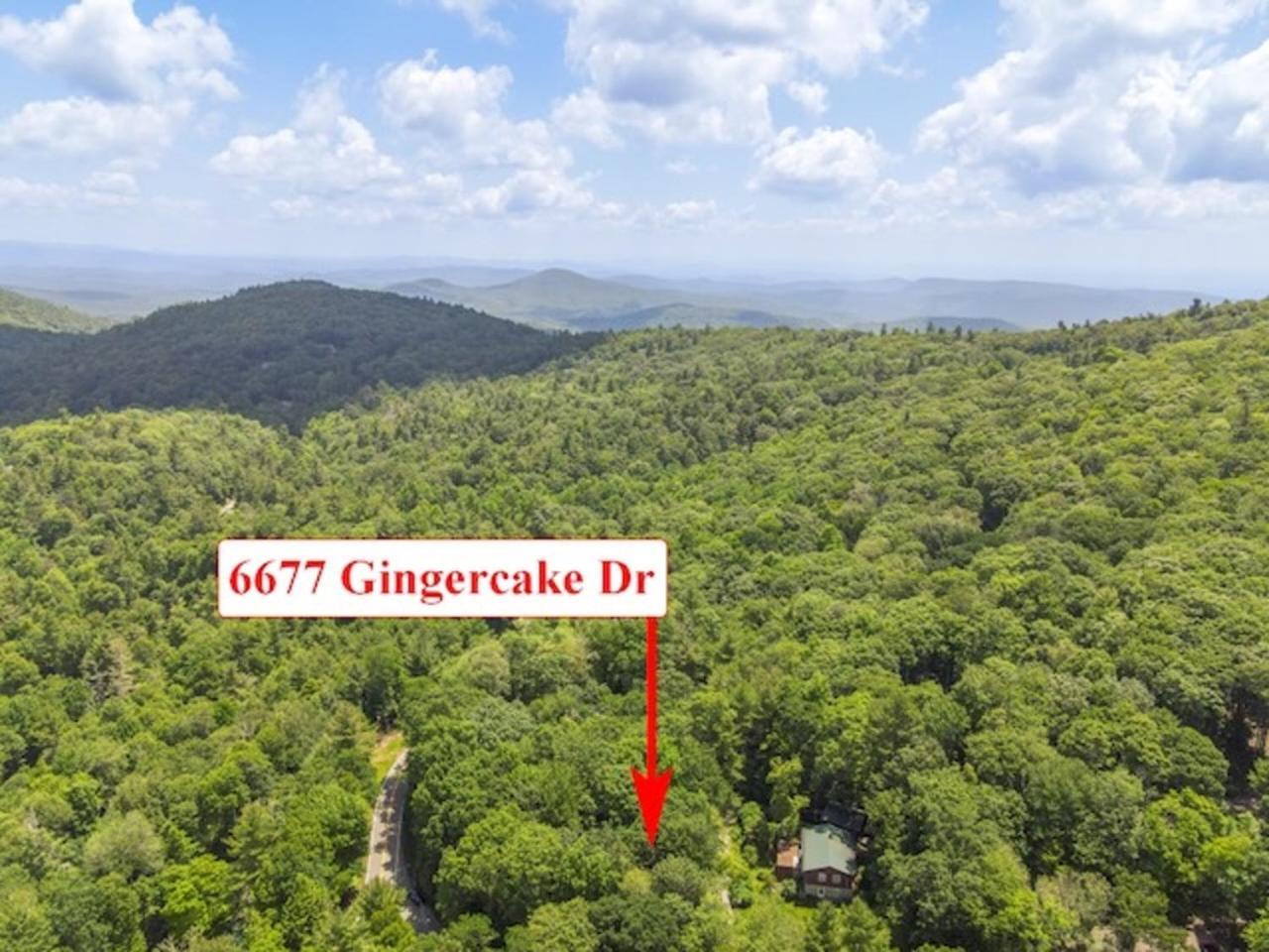 Gingercake Mtn Cottage At Linville Gorge - Wood Burning Fireplace Linville Falls Εξωτερικό φωτογραφία